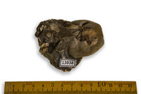 F 13038
<br/>
<br/>
<em></em>